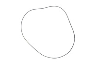 Oring sprzęgła oryginał Renault Claas 6005033268