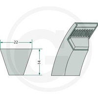 CONTITECH PAS KLINOWY  22X2591 C102