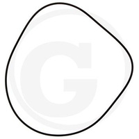 Oring tłoka Claas, Renault 0011482040