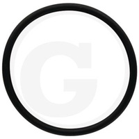 Oring do obudowy filtra   ARAG G10090
