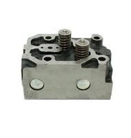 Głowica silnika komplet z zaworami Ursus C-360