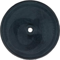 Przepona tłocząca do pompy opryskiwacza  P-100  4002991001