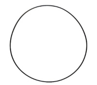 Oring prowadnicy wysprzęglika  Renault 155-54 101,32 7700031643 1,78 